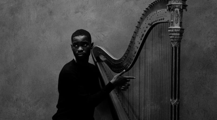 Musician Dave playing the Harp